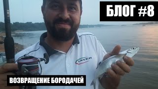 Рыбалка не задалась, Волга, чехонь, жара, Леха вернулся. Рыбалка с Бородачами : Vlog #8