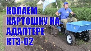 Копаем картошку на адаптере КТЗ 02. Картофелекопалка для мотоблока.