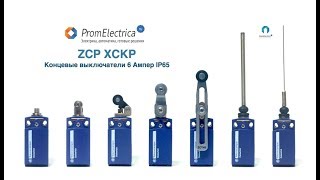 XCKP21F0G11 Концевой выключатель, кнопочный плунжер, Telemecanique / Schneider Electric