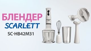 Погружной блендер Scarlett SC-HB42M31