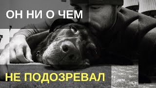 Парень гладил своего пса и ни о чем не подозревал. То, что он увидел, заставило его похолодеть…