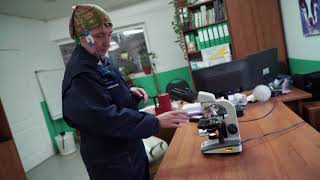 Техника искусственного осеменения