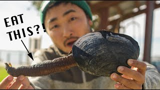 ONE OF NATURE'S STRANGEST LOOKING DELICACIES | Coastal Foraging For Big Clams
