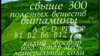 Рекламный ролик Чай «Black Queen»