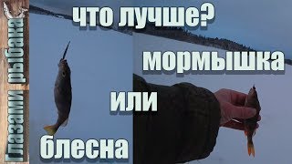 Что лучше блесна или мормышка. Ловля окуня в январе.