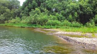 Река Тайдон, Кемеровская область, отличный отдых рыбалка 2016(ч.1)