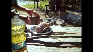 Goose, cleaning and cooking.