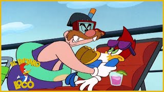 El Pajaro Loco en Español | Carrera de Almeja | Dibujos Animados | Caricaturas para Niños