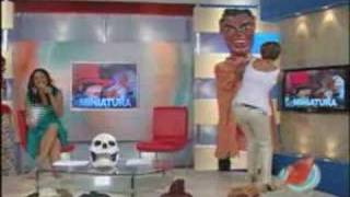 susto informe 11 dos