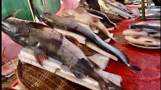 Famous Moulvibazar Sherpur Fish Mela | Largest Maas Mela in Sherpur 2020