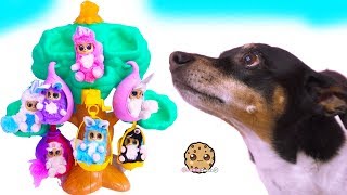 Dog Plays with Fur Babies Dolls - Cookie Swirl C Toy Video