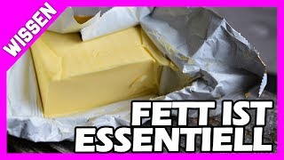 Gesättigte Fette sind essentiell und wichtig für den Körper - Warum du viel Fett essen sollst