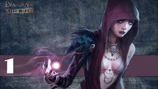 Прохождение Dragon Age:Witch Hunt - часть 1:Книжные черви