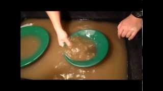 Gold Paydirt Review of Lyra's Alaskan Gold Panning Paydirt Ebay Seller Elkie13