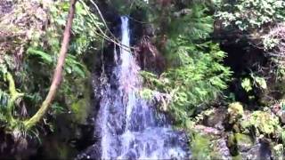 Megumi Falls Hike - geocaches: GC2R4EG & GC2R4EY