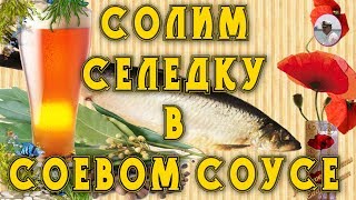 Как солить  селедку в соевом соусе  от Petr de Cril'on