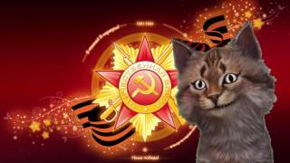 Поздравление с 9 мая ветеранам. Видео открытки.