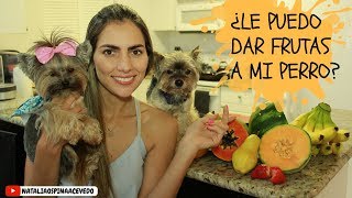 ¿Le puedo dar frutas a mi perro? - Tips by Natalia Ospina