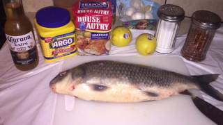 CATCH and COOK CARP..!!!