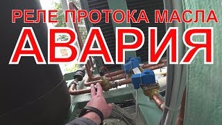 Реле протока масла - АВАРИЯ | Шоковая заморозка на винтовом компрессоре