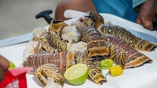 YETI Presents | Hungry Life: Southern Yucatan