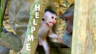 Extremely Scare In Hands Tazana ! Small baby Sami deep cry call mom help.