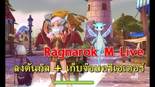 Ragnarok M Live | ลงดันกิล 100 - Champion จ๊อบ 70แล้ว มาลุยครีเอเตอร์ต่อดีกว่า