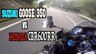【峠バトル】「GOOSE350 VS CBR600RR」SS初心者がバイク仙人と峠に行ったら散々な目にあった・・・【CBR600RR】
