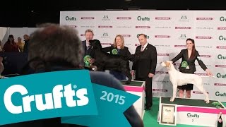 Gundog Group Winner & Interview | Crufts 2015
