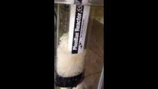 Recirculating Biopellet reactor modified