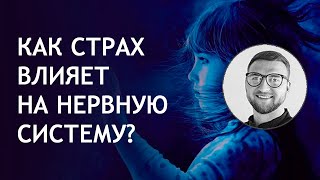 Влияние страха не вегетативную нервную систему | всд симптомы