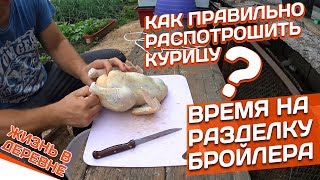 КАК? ВЫПОТРОШИТЬ КУРИЦУ?
