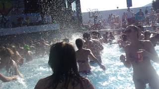 DJ Alpha - Innovation in the Sun Drum & Bass Wavepool party