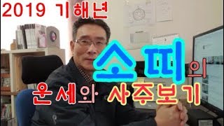 2019 소띠사주 소띠운세와 소띠삼재 정축생 을축생 계축생 신축생,기축생 사주팔자