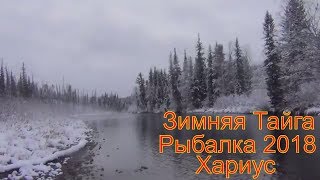 Тайга Рыбалка на хариуса осенью Красоты зимнего леса Охота Природа ОТдых Сибирь