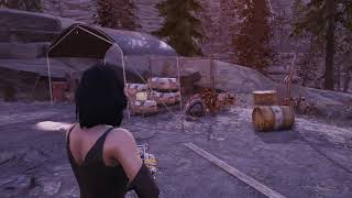 ЯГОДА ХЛОПУШКА И СВЕТЯЩАЯСЯ СМОЛА ПО КВЕСТУ РОУЗ Fallout 76