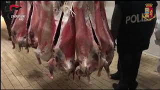 Ovini macellati clandestinamente in un mattatoio del Catanese: ecco il video del Nas
