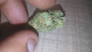 Testing out some blunt wraps and this is what I think of them ???