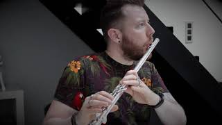 "Sally's Song" - Flute Cover