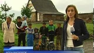 Закарпатские цыгане захватили землю под самовольное...