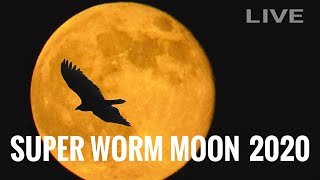 SUPER WORM MOON TODAY 2020