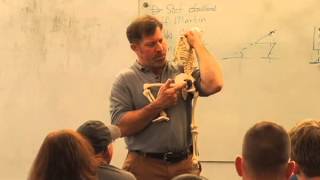 Mark Rippetoe - The Squat And The Hamstring