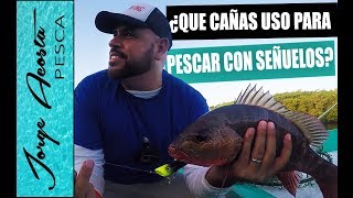 PARGOS con superficiales y que CAÑAS UTILIZO para pescarlos!