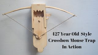 427 Year Old Style Crossbow Mouse Trap In Action. The Last of Mascall's Mouse Traps.