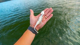 The best fishing lure ever made??