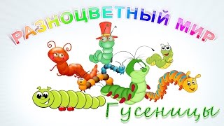 Гусеницы. Часть 2 - Гусеницы мохнатые. Развивающее видео для детей.