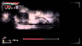 Salt and Sanctuary - Nameless God NG+ - Mage Build Dark Coil is OP!!!!