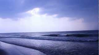 Балтийское море. Паланга. 29.07.2012