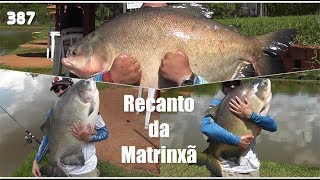 Os Tambas GIGANTES e Pirararas do Recanto da Matrinxã - Fishingtur na TV 387