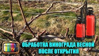 ПЕРВАЯ ОБРАБОТКА ВИНОГРАДА ВЕСНОЙ (ПОСЛЕ ОТКРЫТИЯ)